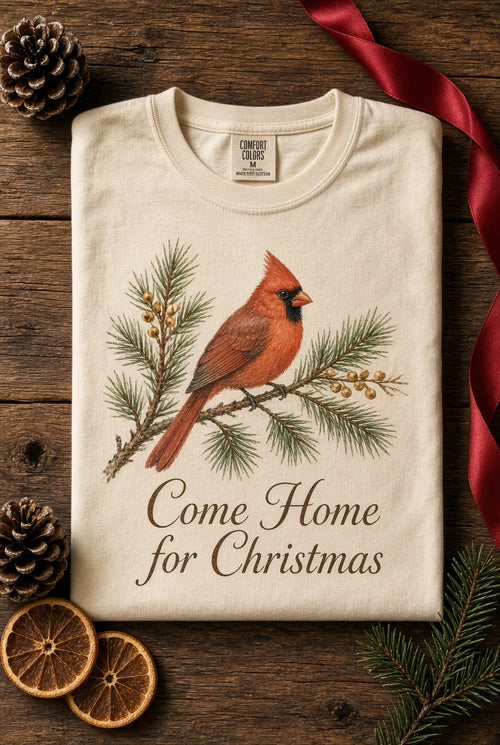 Come Home for Christmas Tee